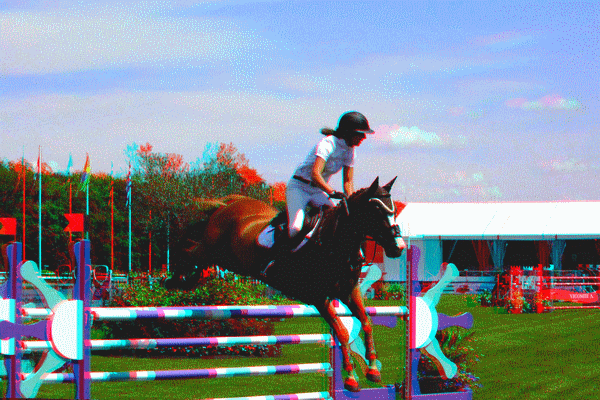 chantilly_jumping_edwina_tops_alexander_leprvost_whitaker_athina_onassis__miranda_bengtsson_pnlope_beerbaum_ludger_schwitzer_kraut_doda